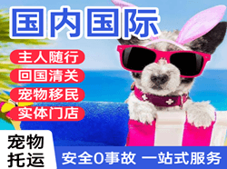 上海虹桥空运地址国际宠物托运 【国